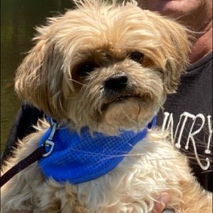 Meet your Posher, Dorraine